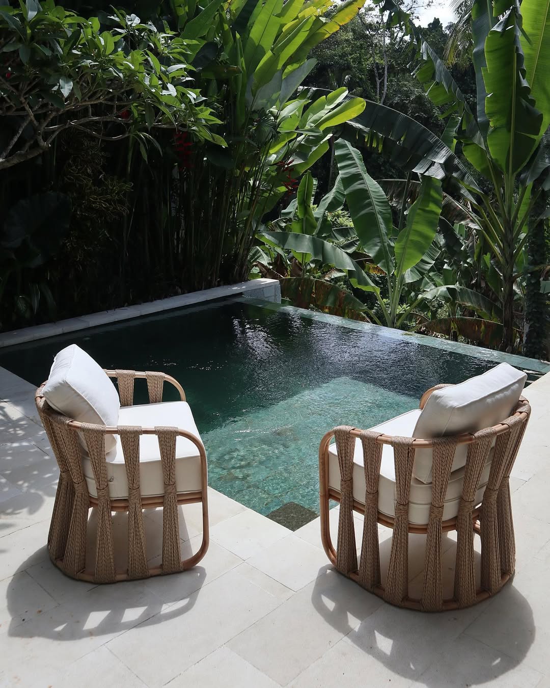 Ava | Modern Comfort Chair (One Chair)